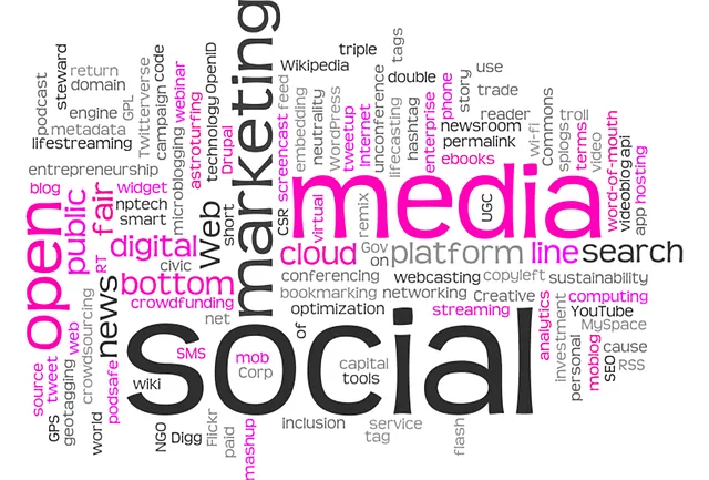 SEO Company Digiavenir
